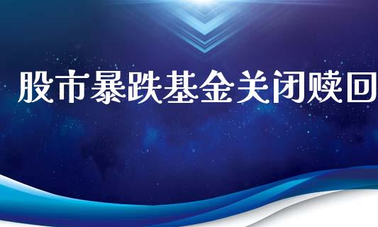 股市暴跌基金关闭赎回_https://www.fsyjjx.cn_理财资讯_第1张
