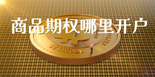 商品期权哪里开户_https://www.fsyjjx.cn_问财精选_第1张