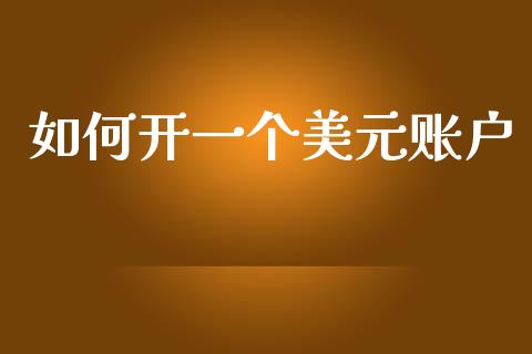如何开一个美元账户_https://www.fsyjjx.cn_期货资讯_第1张