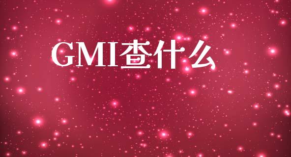 GMI查什么_https://www.fsyjjx.cn_期货在线_第1张
