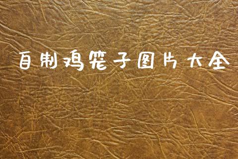 自制鸡笼子图片大全_https://www.fsyjjx.cn_期货研报_第1张