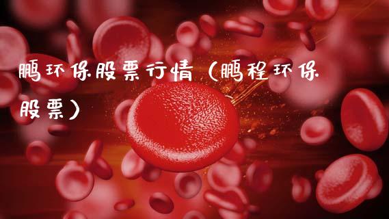 鹏环保股票行情（鹏程环保股票）_https://www.fsyjjx.cn_股市分析_第1张