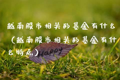 越南股市相关的基金有什么（越南股市相关的基金有什么特点）_https://www.fsyjjx.cn_问财精选_第1张
