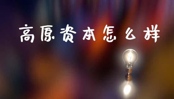 高原资本怎么样_https://www.fsyjjx.cn_期货在线_第1张