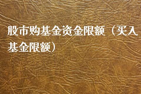 股市购基金资金限额（买入基金限额）_https://www.fsyjjx.cn_问财精选_第1张