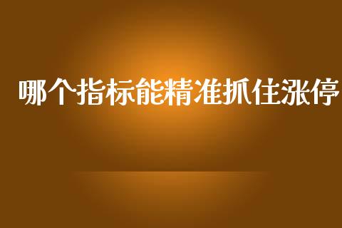 哪个指标能精准抓住涨停_https://www.fsyjjx.cn_问财精选_第1张