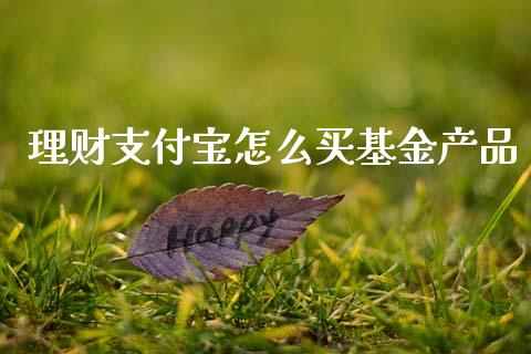 理财支付宝怎么买基金产品_https://www.fsyjjx.cn_理财资讯_第1张