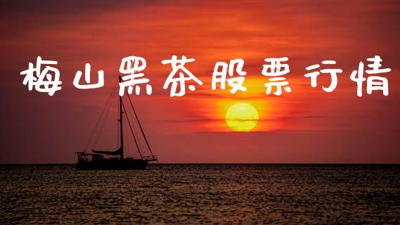 梅山黑茶股票行情_https://www.fsyjjx.cn_股市分析_第1张