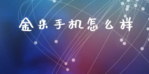 金米手机怎么样_https://www.fsyjjx.cn_股票指导_第1张