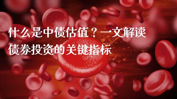 什么是中债估值？一文解读债券投资的关键指标_https://www.fsyjjx.cn_期货资讯_第1张