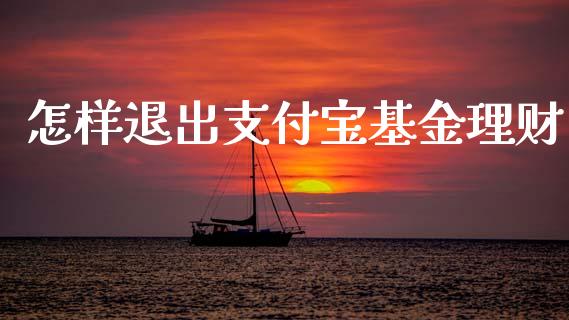 怎样退出支付宝基金理财_https://www.fsyjjx.cn_问财精选_第1张