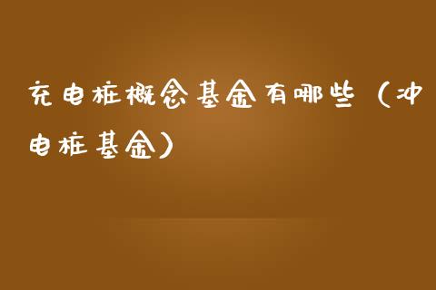 充电桩概念基金有哪些（冲电桩基金）_https://www.fsyjjx.cn_问财精选_第1张