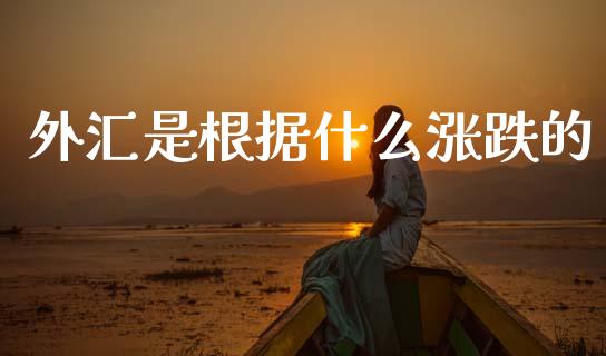 外汇是根据什么涨跌的_https://www.fsyjjx.cn_股票指导_第1张