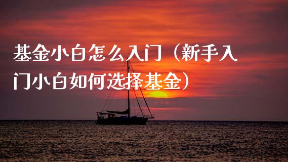 基金小白怎么入门（新手入门小白如何选择基金）_https://www.fsyjjx.cn_问财精选_第1张
