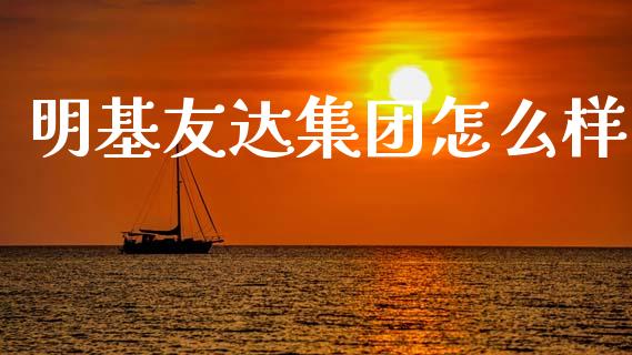 明基友达集团怎么样_https://www.fsyjjx.cn_股市分析_第1张