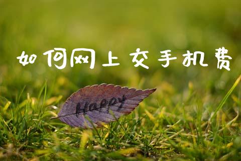 如何网上交手机费_https://www.fsyjjx.cn_问财精选_第1张