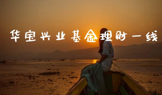 华宝兴业基金理财一线_https://www.fsyjjx.cn_理财资讯_第1张