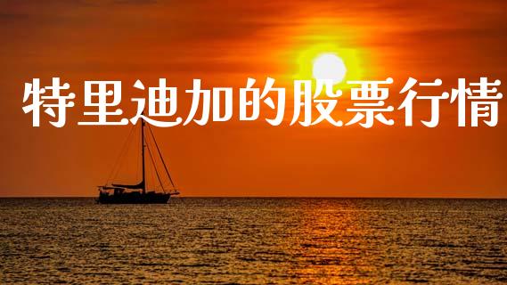 特里迪加的股票行情_https://www.fsyjjx.cn_股指期货_第1张