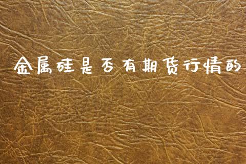 金属硅是否有期货行情的_https://www.fsyjjx.cn_期货资讯_第1张