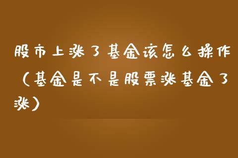 股市上涨了基金该怎么操作（基金是不是股票涨基金了涨）_https://www.fsyjjx.cn_理财资讯_第1张