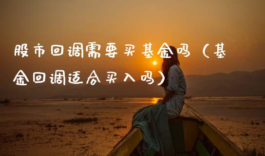 股市回调需要买基金吗（基金回调适合买入吗）_https://www.fsyjjx.cn_问财精选_第1张