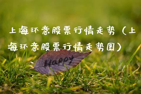 上海环意股票行情走势（上海环意股票行情走势图）_https://www.fsyjjx.cn_股票指导_第1张