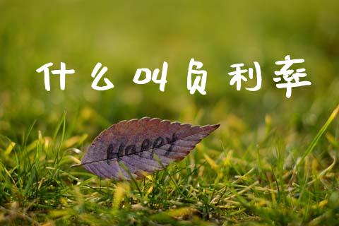 什么叫负利率_https://www.fsyjjx.cn_期货研报_第1张