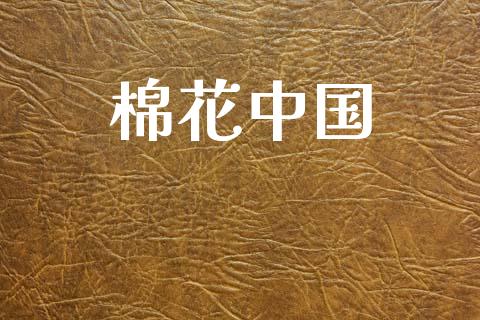 棉花中国_https://www.fsyjjx.cn_期货资讯_第1张