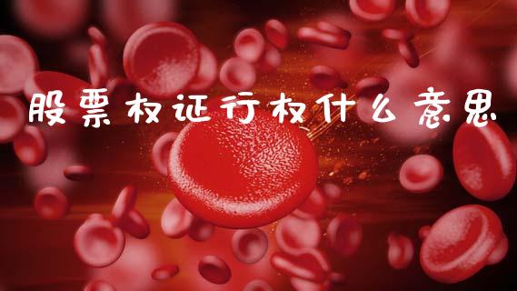 股票权证行权什么意思_https://www.fsyjjx.cn_股票指导_第1张