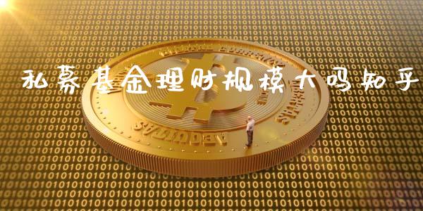 私募基金理财规模大吗知乎_https://www.fsyjjx.cn_问财精选_第1张