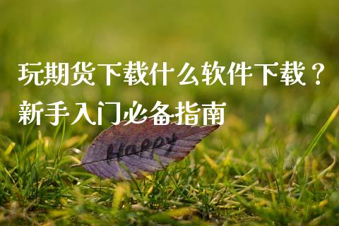 玩期货下载什么软件下载？新手入门必备指南_https://www.fsyjjx.cn_股指期货_第1张