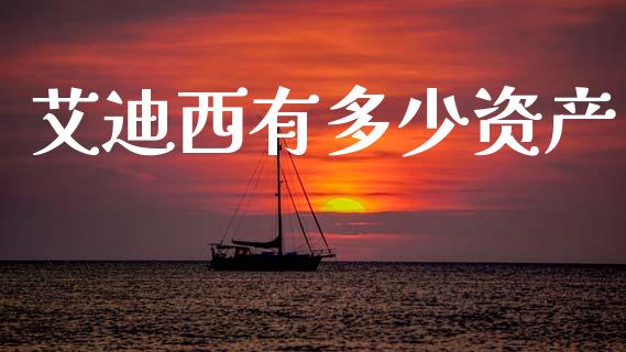 艾迪西有多少资产_https://www.fsyjjx.cn_期货资讯_第1张