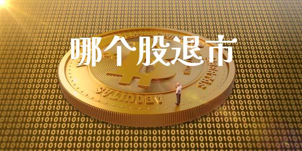 哪个股退市_https://www.fsyjjx.cn_问财精选_第1张