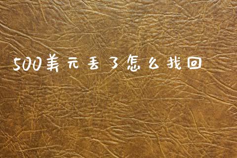 500美元丢了怎么找回_https://www.fsyjjx.cn_期货研报_第1张