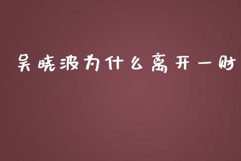 吴晓波为什么离开一财_https://www.fsyjjx.cn_期货在线_第1张