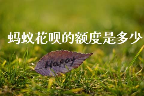 蚂蚁花呗的额度是多少_https://www.fsyjjx.cn_期货在线_第1张