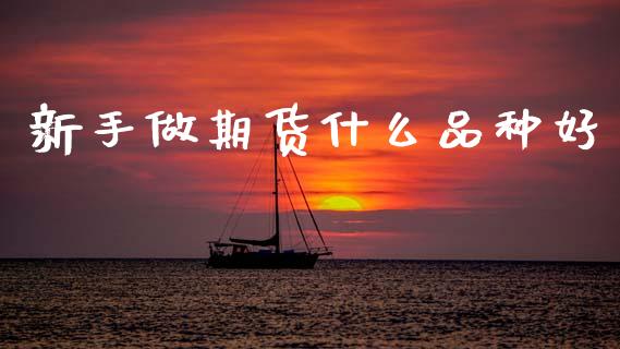 新手做期货什么品种好_https://www.fsyjjx.cn_期货资讯_第1张