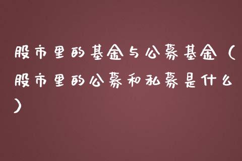 股市里的基金与公募基金（股市里的公募和私募是什么）_https://www.fsyjjx.cn_理财资讯_第1张