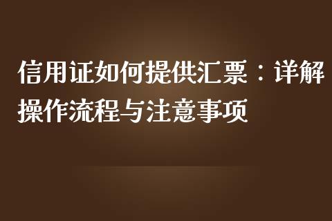 信用证如何提供汇票：详解操作流程与注意事项_https://www.fsyjjx.cn_期货在线_第1张