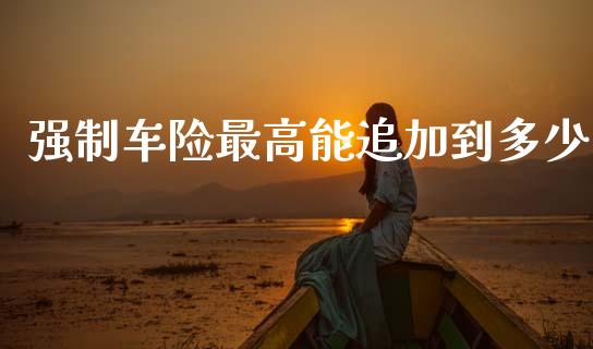 强制车险最高能追加到多少_https://www.fsyjjx.cn_股指期货_第1张