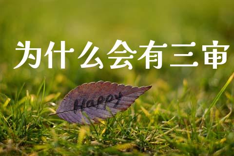 为什么会有三审_https://www.fsyjjx.cn_问财精选_第1张