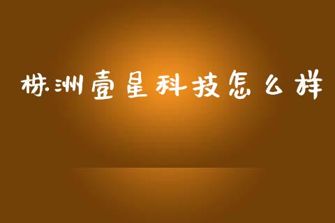 株洲壹星科技怎么样_https://www.fsyjjx.cn_股指期货_第1张