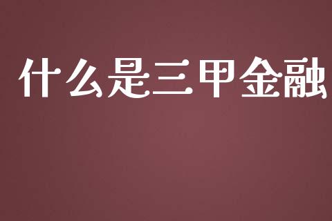 什么是三甲金融_https://www.fsyjjx.cn_股票指导_第1张
