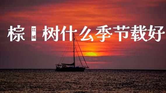 棕榈树什么季节载好_https://www.fsyjjx.cn_股市分析_第1张