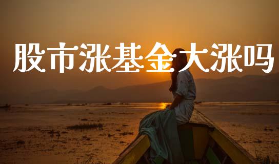股市涨基金大涨吗_https://www.fsyjjx.cn_理财资讯_第1张
