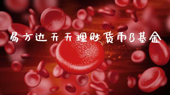 易方达天天理财货币B基金_https://www.fsyjjx.cn_理财资讯_第1张