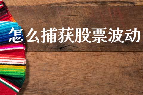 怎么捕获股票波动_https://www.fsyjjx.cn_问财精选_第1张