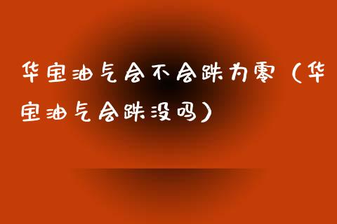 华宝油气会不会跌为零（华宝油气会跌没吗）_https://www.fsyjjx.cn_股票指导_第1张