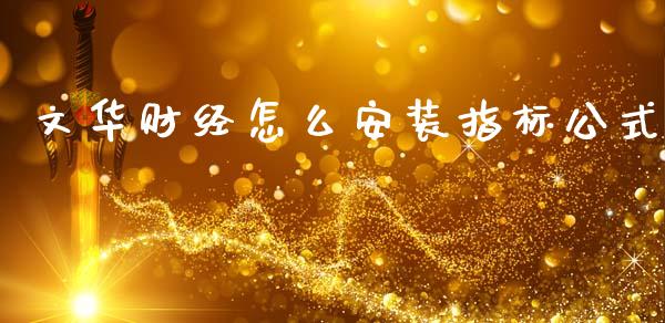 文华财经怎么安装指标公式_https://www.fsyjjx.cn_期货研报_第1张