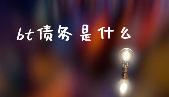 bt债务是什么_https://www.fsyjjx.cn_问财精选_第1张